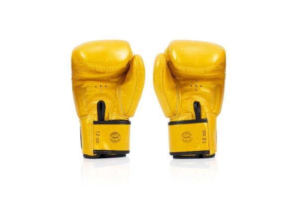 Fairtex BGV19 - "DELUXE Tight Fit" MUAY THAI / BOXING GLOVES (Colours) Premium Leather