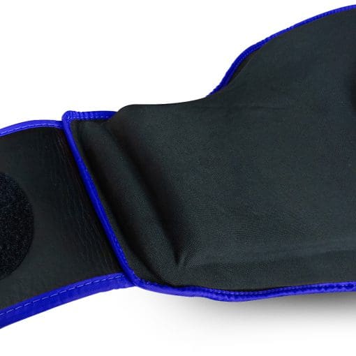 Fairtex BELLY PAD (BLUE -Trainers Protective Shield) - BPV2