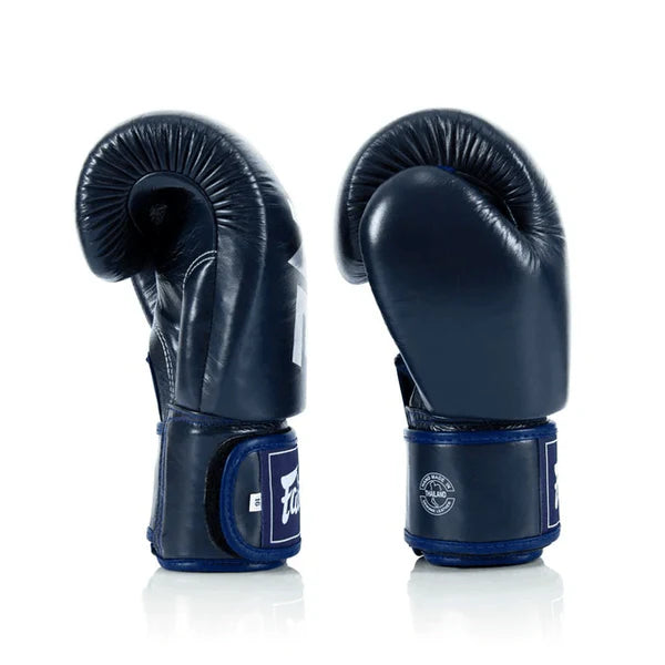 Fairtex BGV1 ONE-MUAY THAI / BOXING GLOVES X ONE (Blue)