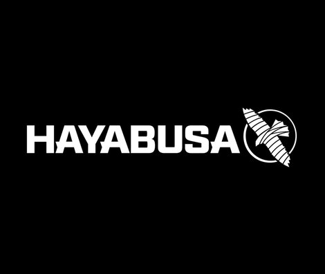 HAYABUSA ALL