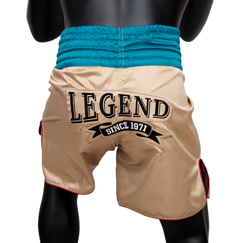 Fairtex BOXING TRUNKS "VINTAGE" - BT2010