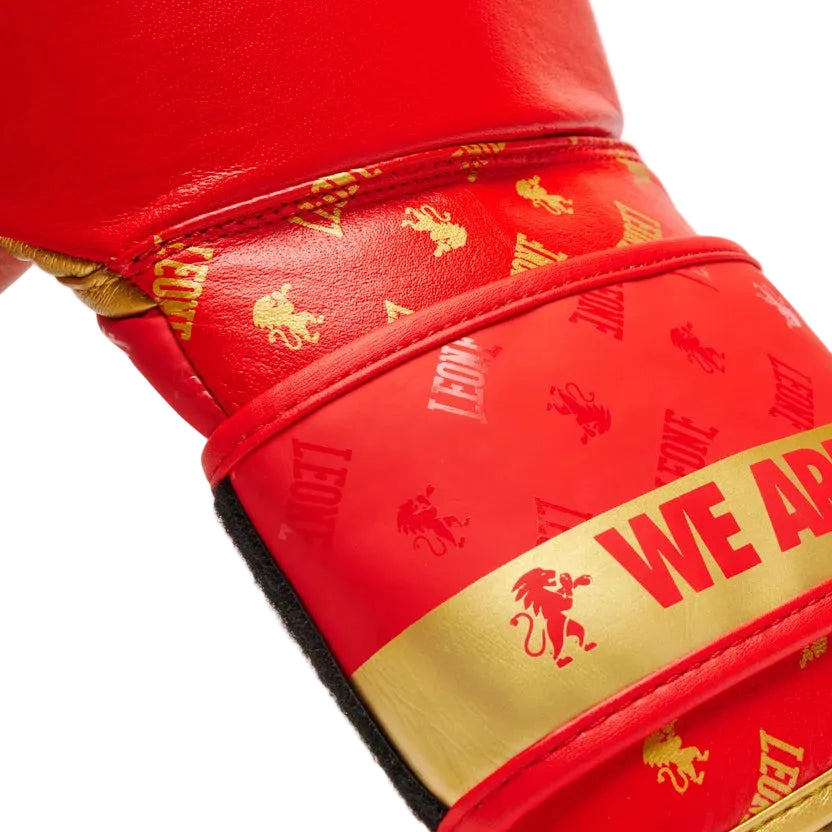 LEONE Gloves - Boxing Gloves "DNA" (Red-Gold) - GN220